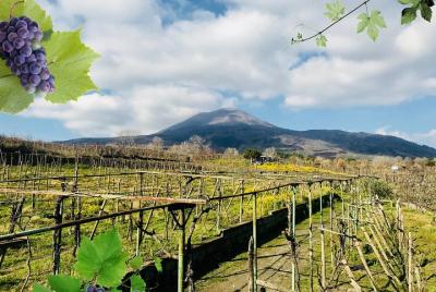 Pompeii & Wine Tasting - Full Day Tour with Guide&Food 