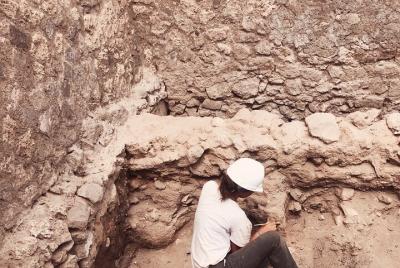 Herculaneum Private Tour with an Archaeologist 