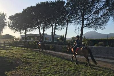 Horse Riding Experience and Wine Tasting Tour Horse Riding Experience and Wine Tasting Tour