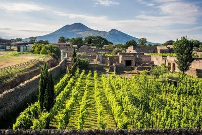 Pompeii & Wine Tour - ALL INCLUSIVE Pompeii & Wine Tour - ALL INCLUSIVE