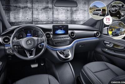 Transfer from Naples to Naples port to Capri Transfer from Naples to Naples port to Capri