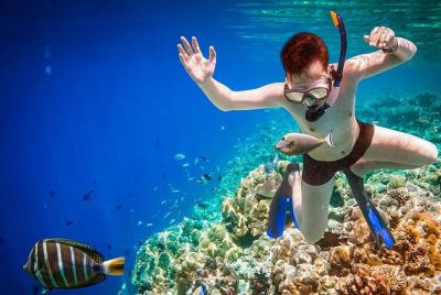 Sightseeing boat tour & snorkeling experience in Sardinia