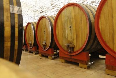 Wine tasting, Valpolicella cellar visit, Amarone and red wines region day tour Wine tasting, Valpolicella cellar visit, Amarone and red wines region day tour