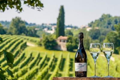 Valdobbiadene (Treviso): Prosecco Tasting Experience 
