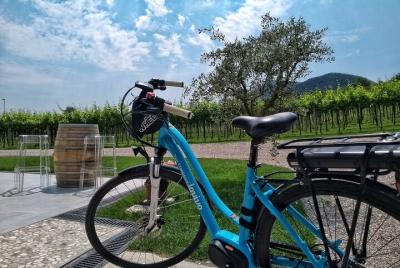 Bike Tour with Wine Tasting in the Euganean Hills From Padua