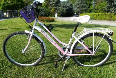 Bike rental for children