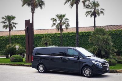 Private transfer from Palermo airport to Hotel Ambasciatori or vi