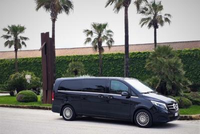 Private transfer from Palermo airport to Hotel Porta Felice or vi