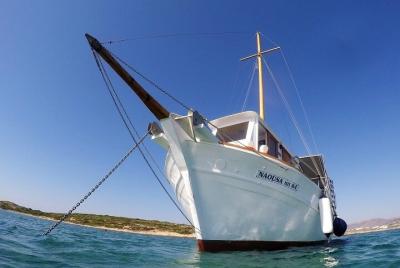 Full-Day Cruise in Antiparos and Despotiko with Barbecue Full-Day Cruise in Antiparos and Despotiko with Barbecue