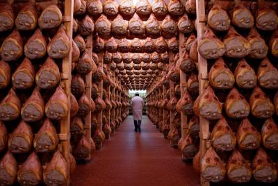 Private Emilia Romagna Food Tour from Parma or Bologna
