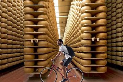 Cycling and eating around Parma, between Parmigiano and Aceto Balsamico