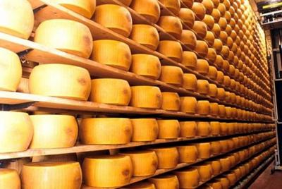 The Parmigiano Reggiano - Parmesan Cheese Museum