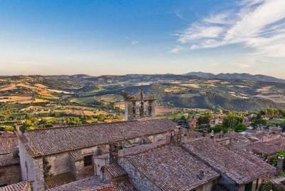 Day Trip: Vinyard Tour By Horse & Carriage+ Lunch + Montefalco And Todi Pr.tour  Day Trip: Vinyard Tour By Horse & Carriage+ Lunch + Montefalco And Todi Pr.tour