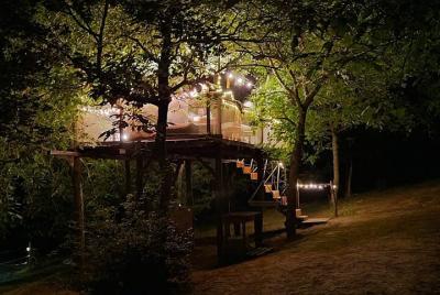 Unique Experience Organ Dinner on a Treetop in Umbria Unique Experience Organ Dinner on a Treetop in Umbria