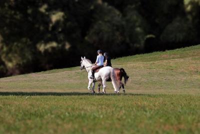 Day Trip: Olive Oil And Wine Museum With Brunch + Horse Riding Day Trip: Olive Oil And Wine Museum With Brunch + Horse Riding