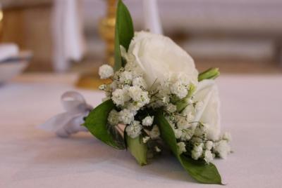 Vows renewal ceremony with photo shoot Vows renewal ceremony with photo shoot