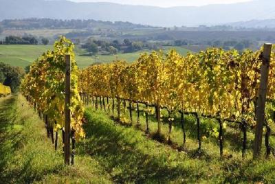 Sept 2021 -Harvest week and Wine weeks Package - price inshared Double room Sept 2021 -Harvest week and Wine weeks Package - price inshared Double room