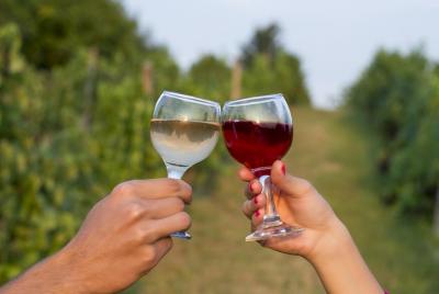 Private Wine Tour - Visit Two Small Wineries