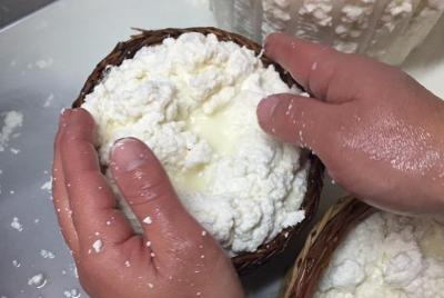 Private cheese making class at a farm