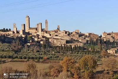 Ramble Through The Rolling Hills Of Chianti (6 Hrs) + Lunch & Wine Tasting