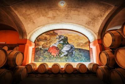 Suvereto Wine Experience Private Tour from Livorno