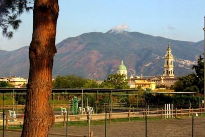 Private wine tour and tasting in Pompeii Private wine tour and tasting in Pompeii