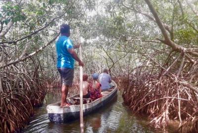 Cartagena Mangrove Shared Tour Cartagena Mangrove Shared Tour