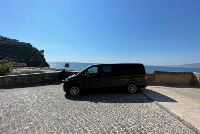 Private transfer Naples to Pompeii or Pompeii to Naples
