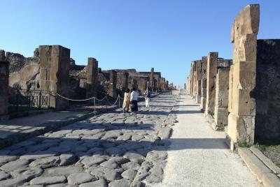 Private tour of Pompeii. Visit of the Roman Villas recently opene