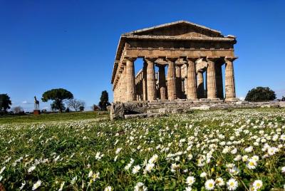 Paestum & Buffalo Farm Full-day Coach Tour from Sorrento Paestum & Buffalo Farm Full-day Coach Tour from Sorrento