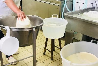 Mozzarella Tour Mozzarella Tour