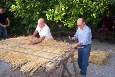 Discover a Lemon Grove with Demo and Lunch from Sorrento Discover a Lemon Grove with Demo and Lunch from Sorrento
