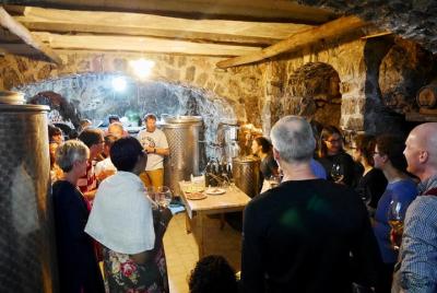 Organic Wine and cheese tasting - Mozzarella workshop Organic Wine and cheese tasting - Mozzarella workshop