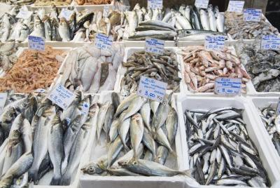 Small Group Market tour and Cooking class in Rimini