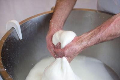 Knowledge and Flavors Knowledge and Flavors