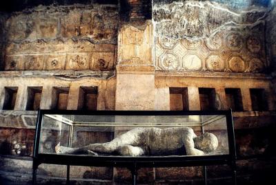 Pompeii Sorrento and Positano Full-Day Private Guided Tour