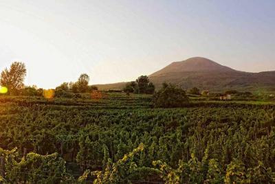 Pompeii, Vesuvius and Sorrento "Special Price" for Vehicle Pompeii, Vesuvius and Sorrento