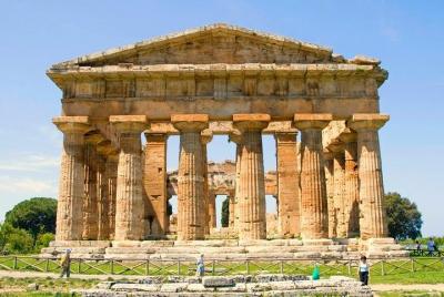 Guided visits in Paestum:Bufala Mozzarella's organic farm+Greek Temples,max 6pax