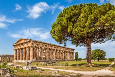 Paestum: the Greek Temples and the Archaeological Museum private tour Paestum: the Greek Temples and the Archaeological Museum private tour