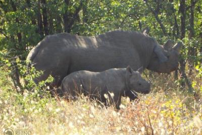 Guided Falls Tour, African Village Tour & Night Game Driver with Bush dinner Guided Falls Tour, African Village Tour & Night Game Driver with Bush dinner