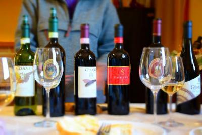 Cesani Wine Experience Cesani Wine Experience