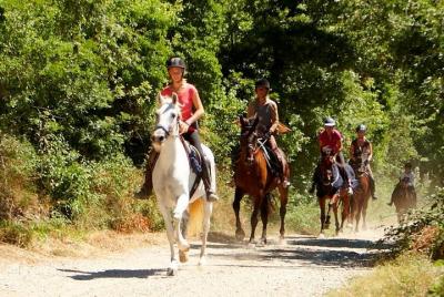 Half-Day Horseback Ride in Tuscany Half-Day Horseback Ride in Tuscany