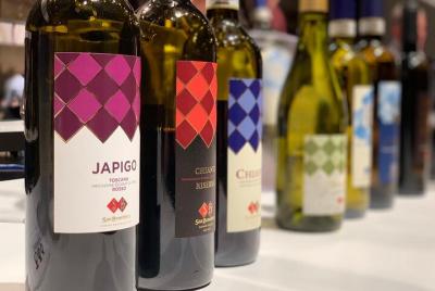 Private Winery Tour in San Gimignano winery with Tastings Private Winery Tour in San Gimignano winery with Tastings