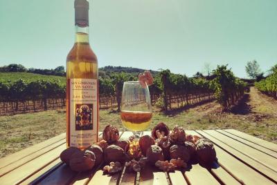 Maxi Gourmet Wine Tour San Gimignano Wine Tasting - San Quirico W Maxi Gourmet Wine Tour San Gimignano Wine Tasting - San Quirico W