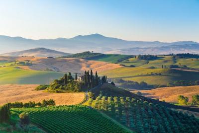 Brunello Wine Tasting from San Gimignano Brunello Wine Tasting from San Gimignano