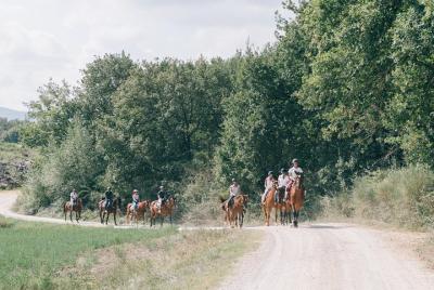 Horseback Riding tour with lunch and Wine Tasting  Horseback Riding tour with lunch and Wine Tasting
