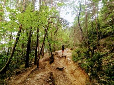 Sightseeingss in Sanremo Things to do in  Sanremo 31480