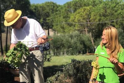 From Siena: Pienza and Montepulciano Wine Tour From Siena: Pienza and Montepulciano Wine Tour