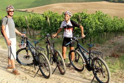 Small Group E-Bike Tour from Siena with Wine Tasting and Lunch Small Group E-Bike Tour from Siena with Wine Tasting and Lunch