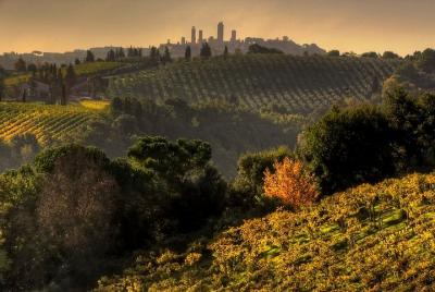 Small-Group Chianti and San Gimignano Sunset Trip from Siena Small-Group Chianti and San Gimignano Sunset Trip from Siena